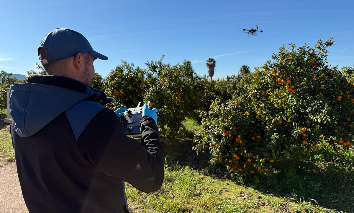 DRONSafe despega en la agricultura valenciana drones para mejorar el control de plagas DRONSafe despega en la agricultura valenciana drones para mejorar el control de plagas