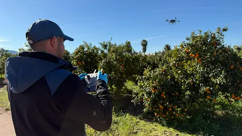 Vuelos con drones para fumigar campos Vuelos con drones para fumigar campos