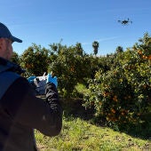 Vuelos con drones para fumigar campos
