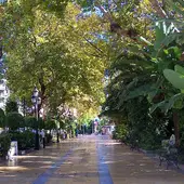 Alameda Alameda