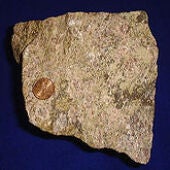 Mineral de tierras raras