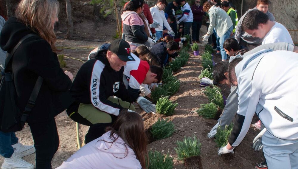 Consorci Mare bosque diversidad