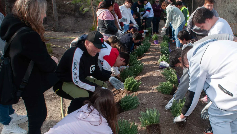 Consorci Mare bosque diversidad Consorci Mare bosque diversidad