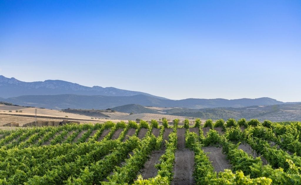 Nueva edición de "De buena uva". Charlamos con Santi Rivas y nos vamos hasta las Bodegas Marco Real en Olite Nueva edición de "De buena uva". Charlamos con Santi Rivas y nos vamos hasta las Bodegas Marco Real en Olite