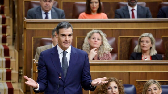 El presidente del Gobierno, Pedro S&aacute;nchez, interviene durante la sesi&oacute;n de control al Gobierno este mi&eacute;rcoles en el Congreso de los Diputados. EFE/ Zipi