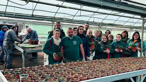 Doce alumnos de las especialidades de jardinería y forestal reciben formación práctica en el Vivero Provincial de Cáceres Doce alumnos de las especialidades de jardinería y forestal reciben formación práctica en el Vivero Provincial de Cáceres