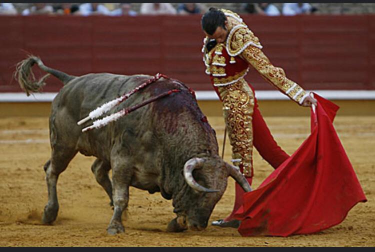 Finito: "Este reconocimiento es por amar Andalucía" Finito: "Este reconocimiento es por amar Andalucía"