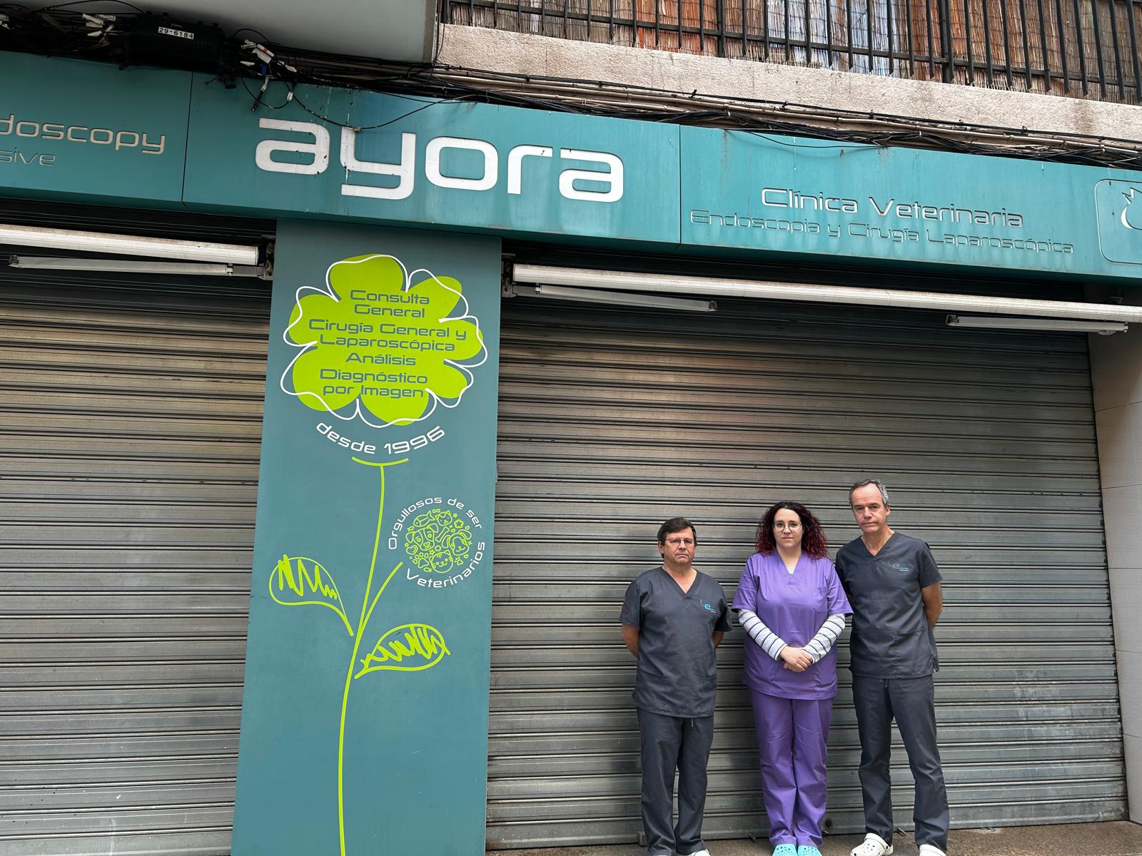 Los veterinarios se manifestarán en Valencia el viernes contra las restricciones de la regulación del medicamento Los veterinarios se manifestarán en Valencia el viernes contra las restricciones de la regulación del medicamento