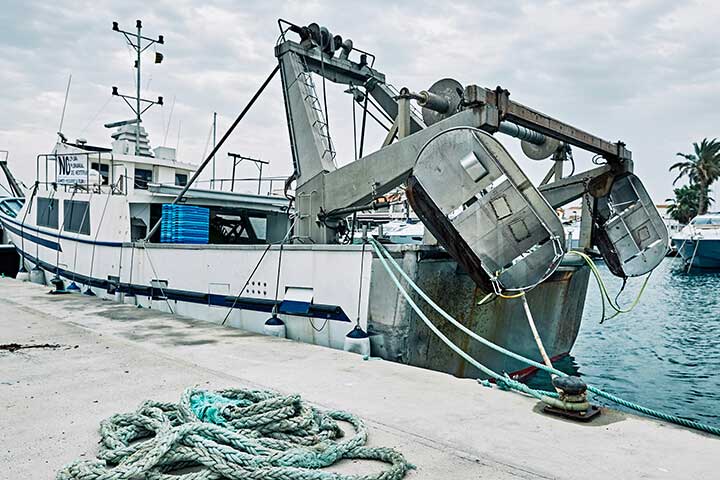 Brussel·les vol retallar un 65% els dies de pesca d'arrossegament Brussel·les vol retallar un 65% els dies de pesca d'arrossegament