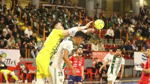 Patrimonio Patrimonio