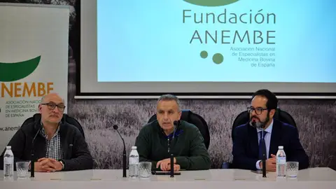 La Asociación Nacional de Especialistas en Medicina Bovina fijará en Cáceres la sede de su Fundación La Asociación Nacional de Especialistas en Medicina Bovina fijará en Cáceres la sede de su Fundación