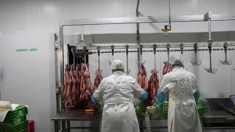 LA UNIÓ denuncia la desaparición del 45% de granjas de conejos en apenas seis años LA UNIÓ denuncia la desaparición del 45% de granjas de conejos en apenas seis años