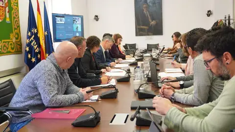 La Diputación de Badajoz desarrollará en Arroyo de San Serván un proyecto piloto de la FEMP para combatir el calor La Diputación de Badajoz desarrollará en Arroyo de San Serván un proyecto piloto de la FEMP para combatir el calor