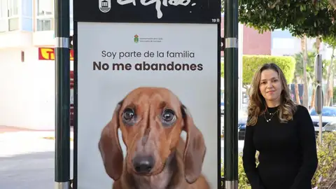 Campaña Ayuntamiento de El Ejido Campaña Ayuntamiento de El Ejido