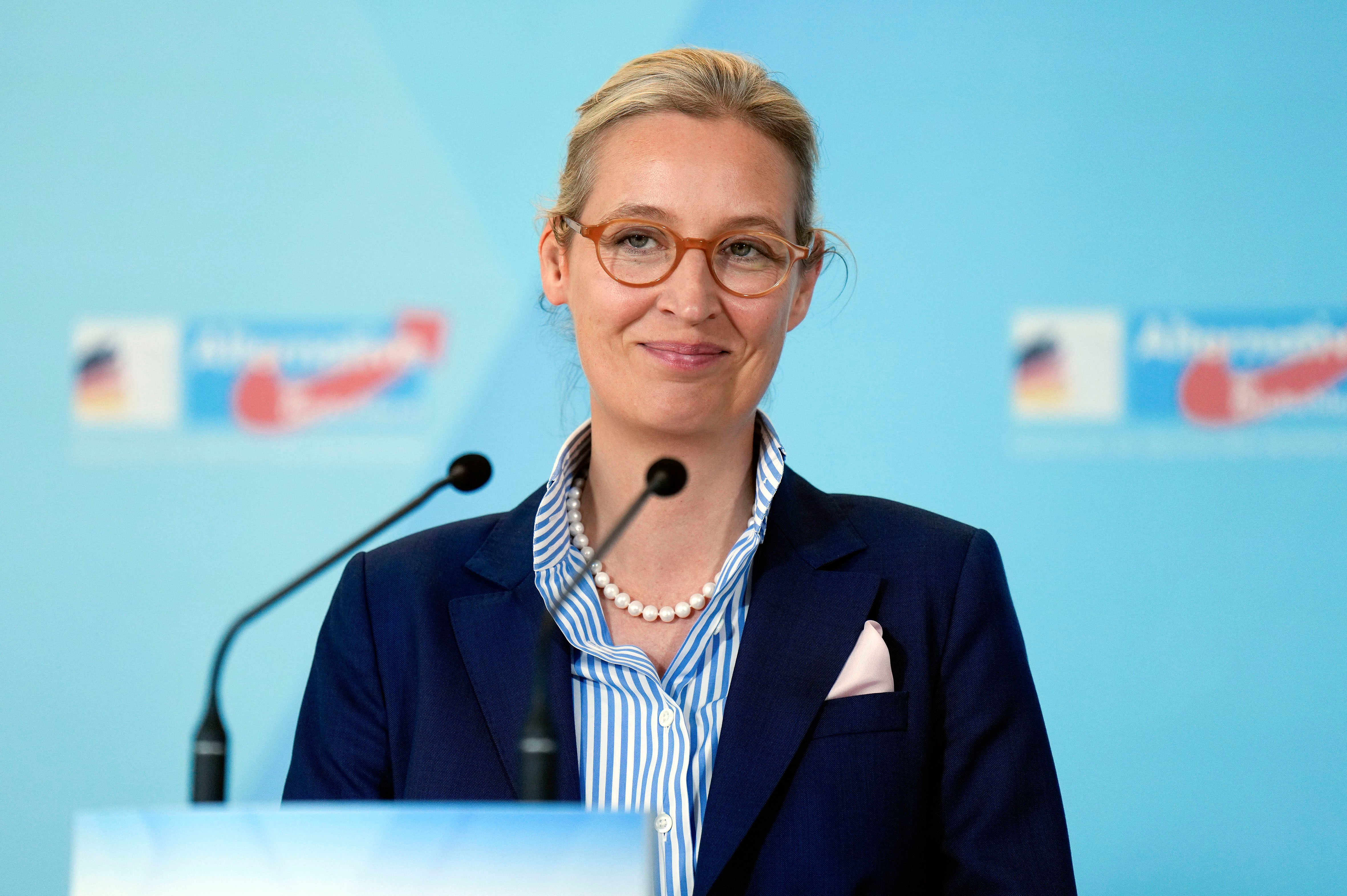 Quién es Alice Weidel, la candidata de la ultraderecha alemana: estas son sus principales propuestas Quién es Alice Weidel, la candidata de la ultraderecha alemana: estas son sus principales propuestas