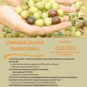 Debatirán sobre el sector olivarero en Mora