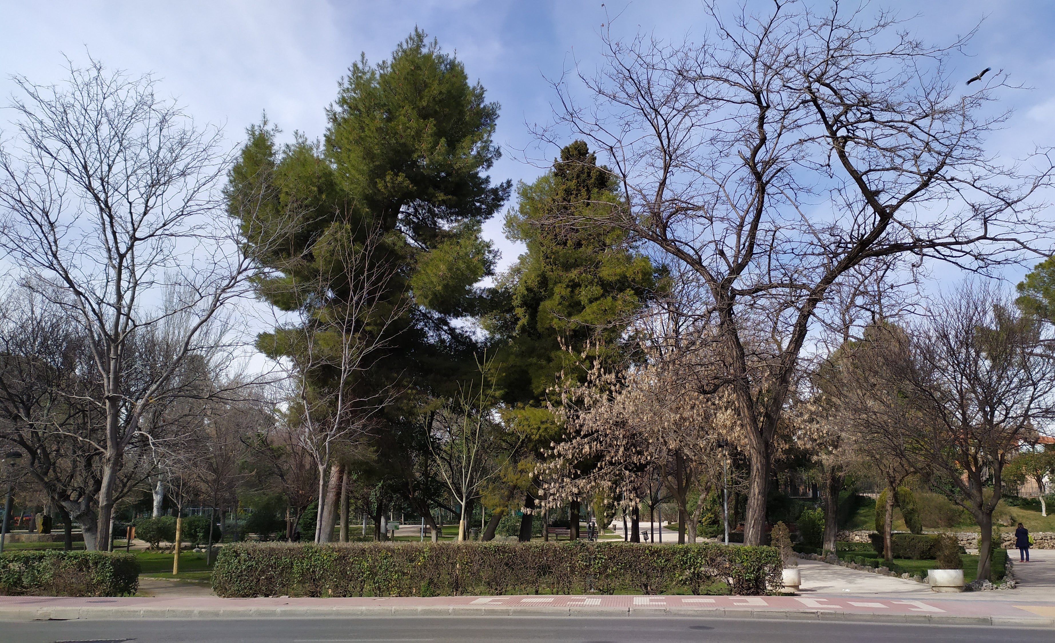 Más de uno Alcalá 05/06/2025 Más de uno Alcalá 05/06/2025