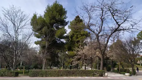 Parque O´Donnell de Alcalá de Henares Parque O´Donnell de Alcalá de Henares