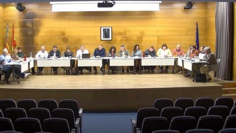 Pleno Altea Febrero 2025