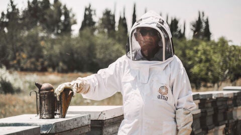Experiencia para conocer todo sobre apicultura con Abejas Cándido Experiencia para conocer todo sobre apicultura con Abejas Cándido