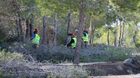 Benidorm aprueba hoy un proyecto con actuaciones contra incendios en el parque urbano de El Moralet cuyo presupuesto roza los 435.000 euros