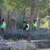 Benidorm aprueba hoy un proyecto con actuaciones contra incendios en el parque urbano de El Moralet cuyo presupuesto roza los 435.000 euros Benidorm aprueba hoy un proyecto con actuaciones contra incendios en el parque urbano de El Moralet cuyo presupuesto roza los 435.000 euros