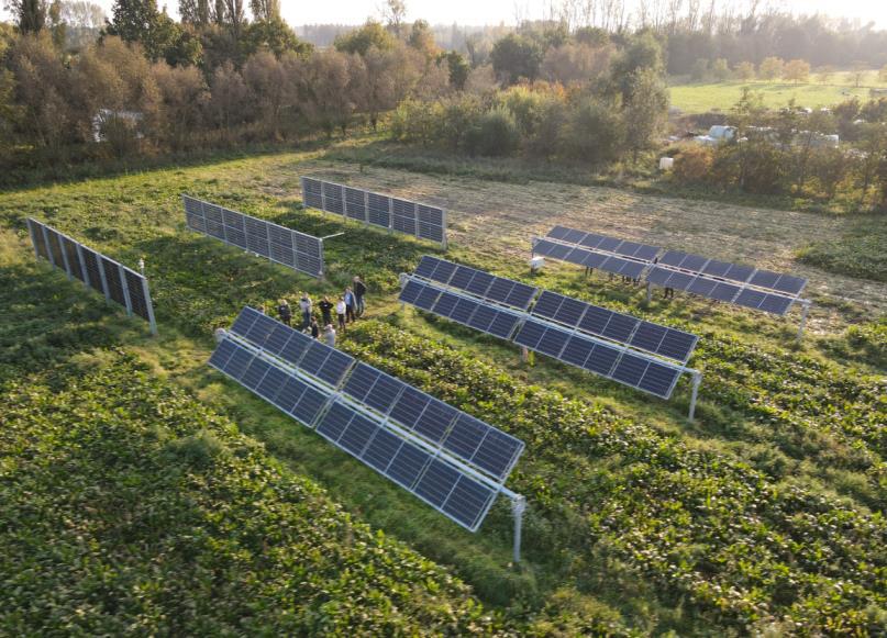 La Diputación acoge una jornada sobre Agrovoltaica para impulsar la generación de energía renovable sin menoscabo de la dagricultura La Diputación acoge una jornada sobre Agrovoltaica para impulsar la generación de energía renovable sin menoscabo de la dagricultura