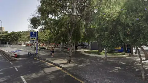 Imagen de archivo de la Alameda del Duque de Santa Elena en Santa Cruz de Tenerife Imagen de archivo de la Alameda del Duque de Santa Elena en Santa Cruz de Tenerife