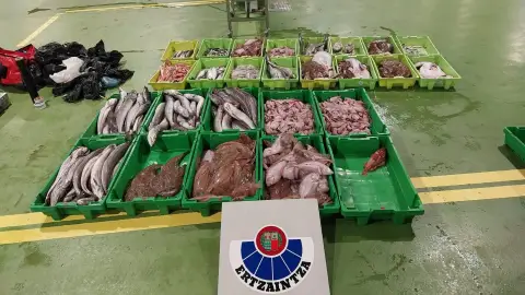 nterceptado en Ondarroa un vehículo que transportaba alrededor de 375 kilos de pescado en condiciones de insalubridad nterceptado en Ondarroa un vehículo que transportaba alrededor de 375 kilos de pescado en condiciones de insalubridad
