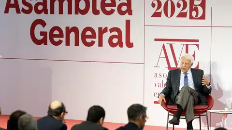 Felipe González interviene durante la celebración de la asamblea de la Asociación Valenciana de Empresarios Felipe González interviene durante la celebración de la asamblea de la Asociación Valenciana de Empresarios