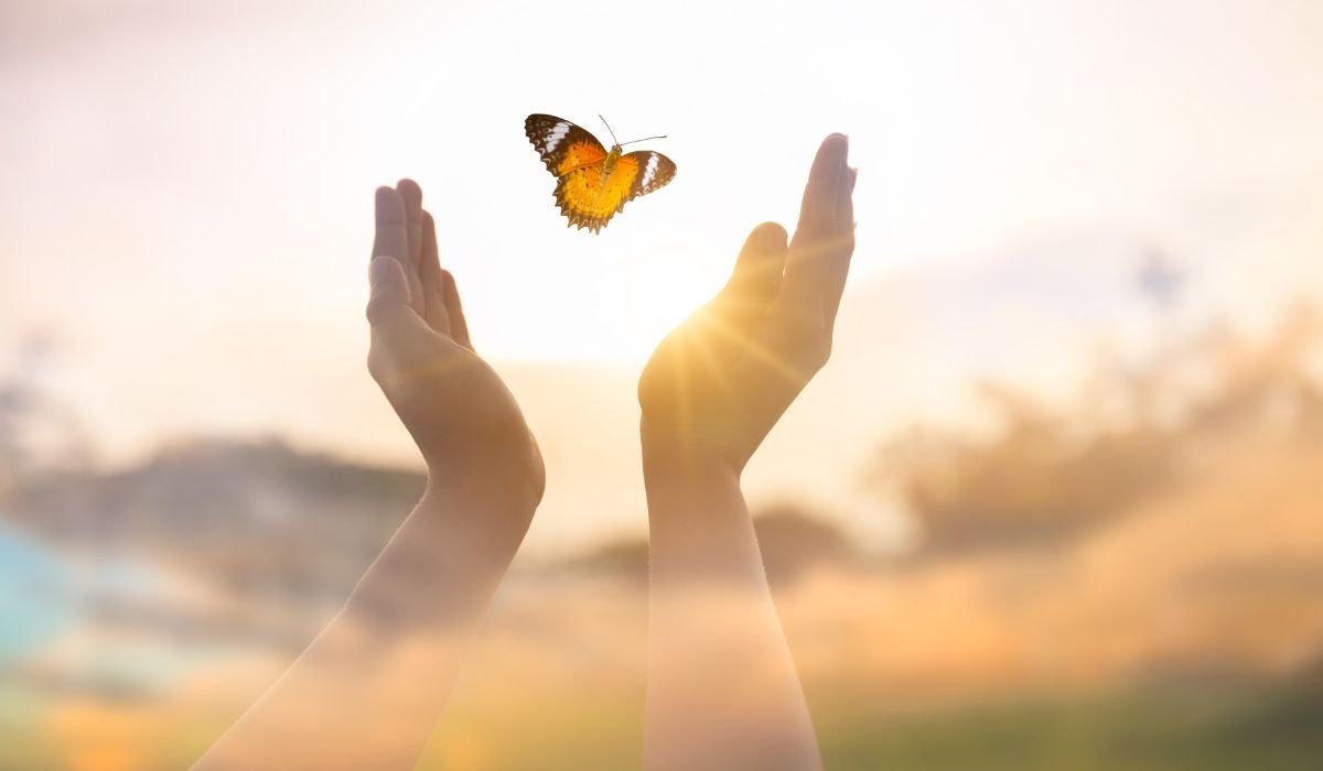 El impacto de nuestras acciones El impacto de nuestras acciones