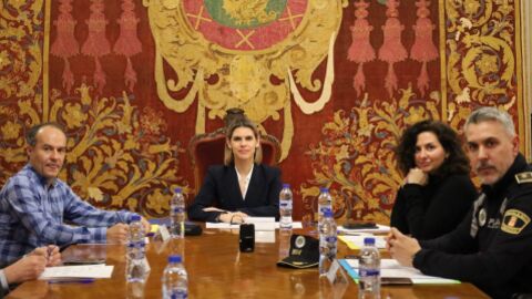 Junta Local de Seguridad de Alcal&aacute; de Henares