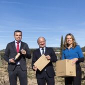 Proyecto VINEBOX Pontevedra