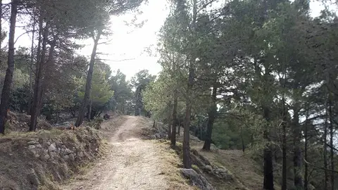 Actuación medio ambiente Altea Actuación medio ambiente Altea