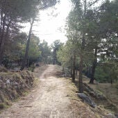 Actuación medio ambiente Altea
