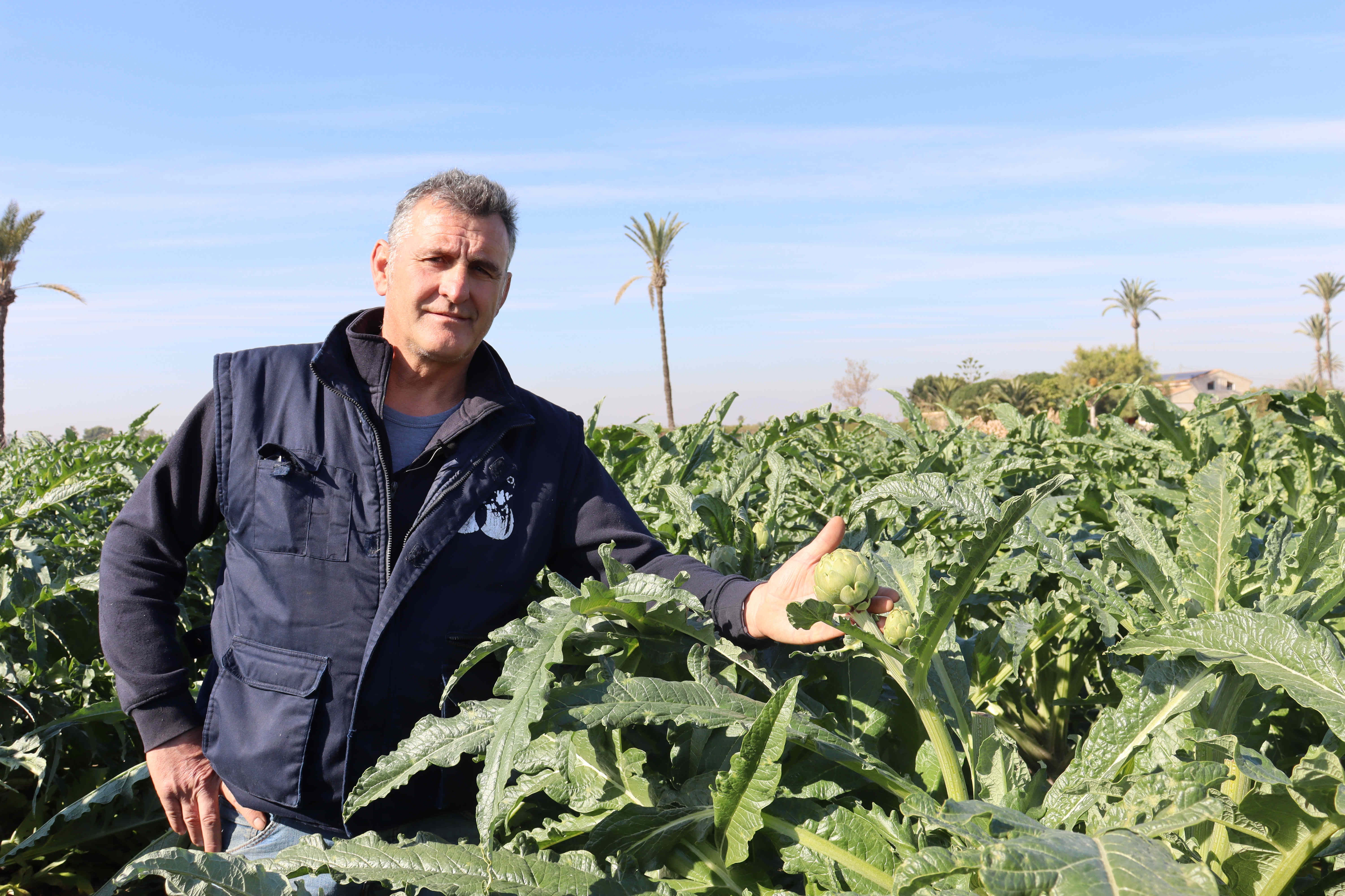Asaja Elche reconoce como Agricultor del Año 2024 a Álvaro Boix Asaja Elche reconoce como Agricultor del Año 2024 a Álvaro Boix