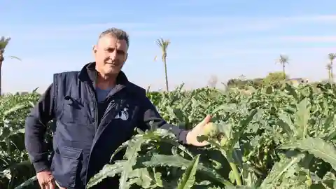 Álvaro Boix, Agricultor del Año 2024 para Asaja Elche. Álvaro Boix, Agricultor del Año 2024 para Asaja Elche.