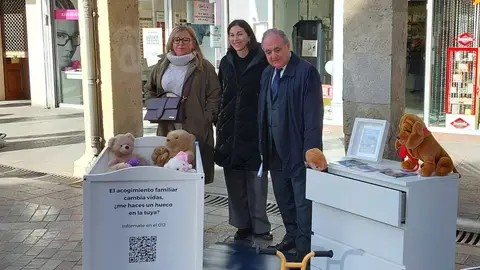 Junta y Cruz Roja promueven los acogimientos familiares en Castilla y León en Palencia .