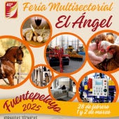 Feria El Ángel de Fuentepelayo