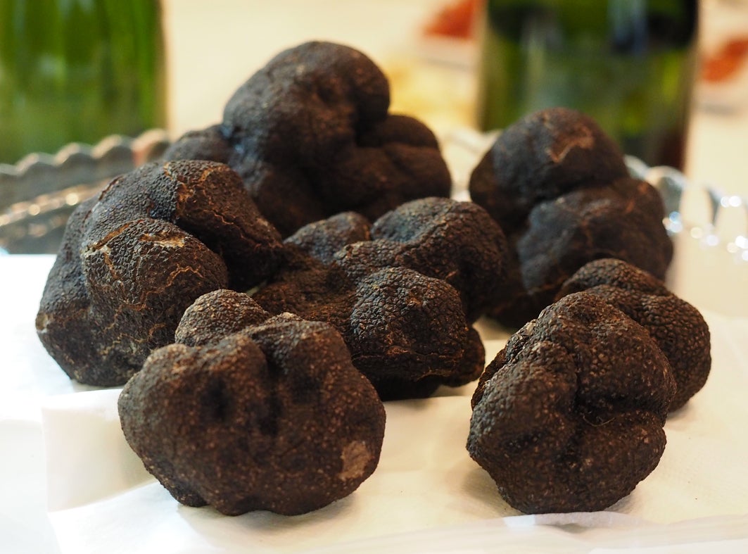 Huesca acoge este sábado la final de TRUFA-te Huesca acoge este sábado la final de TRUFA-te