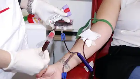 Banco de Sangre Banco de Sangre