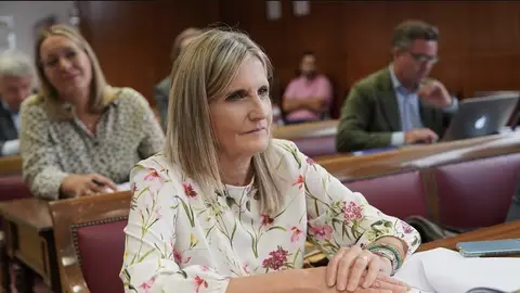 “El gobierno tiene que dejar de discriminar a Huesca en materia ferroviaria” “El gobierno tiene que dejar de discriminar a Huesca en materia ferroviaria”