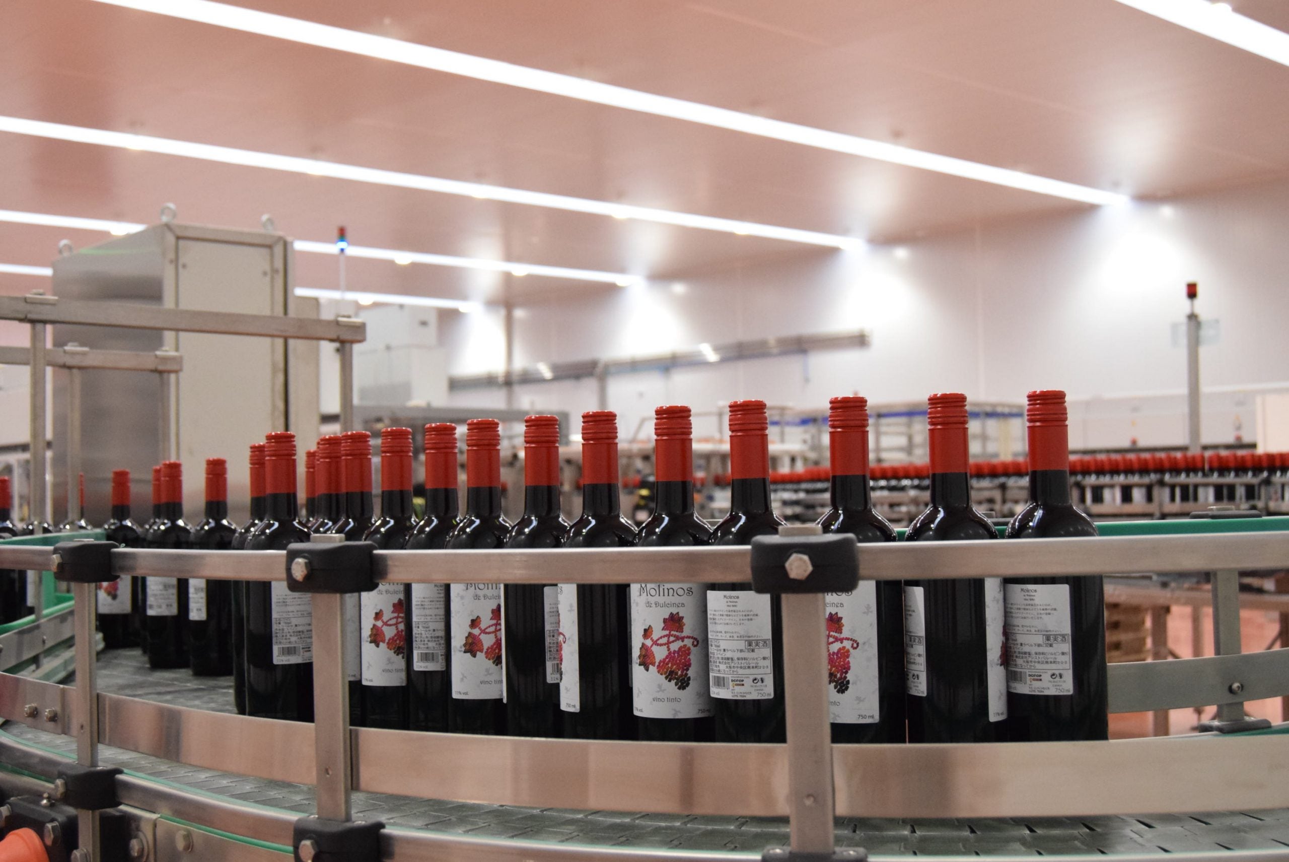 La vuelta al mundo en 80 Bacos: El Grupo Baco nos lleva a las ferias virtuales de vino La vuelta al mundo en 80 Bacos: El Grupo Baco nos lleva a las ferias virtuales de vino