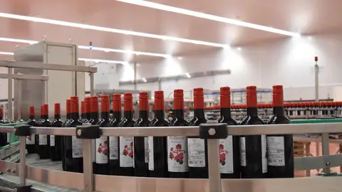 Grupo Baco Grupo Baco