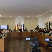 Pleno ordinario del mes de febrero en Vila-real. 