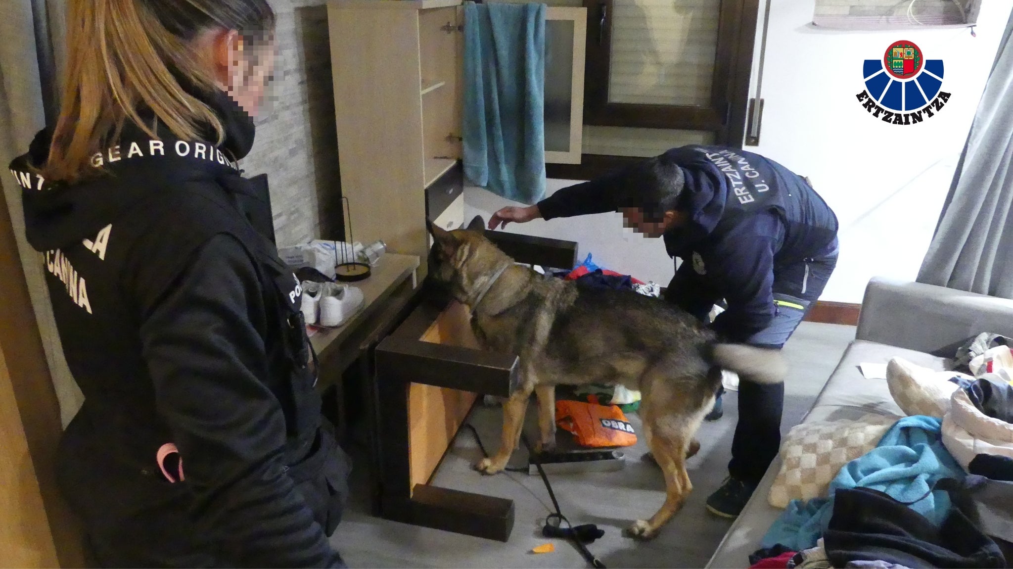 La Ertzaintza detiene a cuatro miembros de una banda especializada en robos de viviendas La Ertzaintza detiene a cuatro miembros de una banda especializada en robos de viviendas