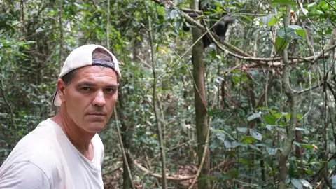 Imagen de archivo de Frank Cuesta. Imagen de archivo de Frank Cuesta.