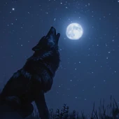 Imagen de un lobo con la luna llena Imagen de un lobo con la luna llena