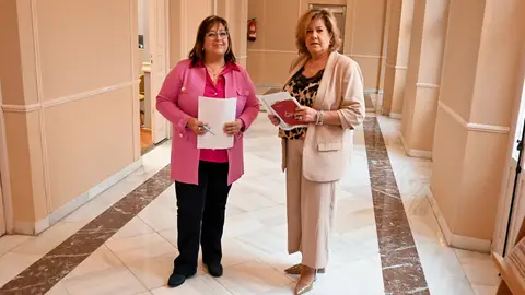 Las diputadas provinciales Encarnación Medina y María Antonia Álvaro Las diputadas provinciales Encarnación Medina y María Antonia Álvaro