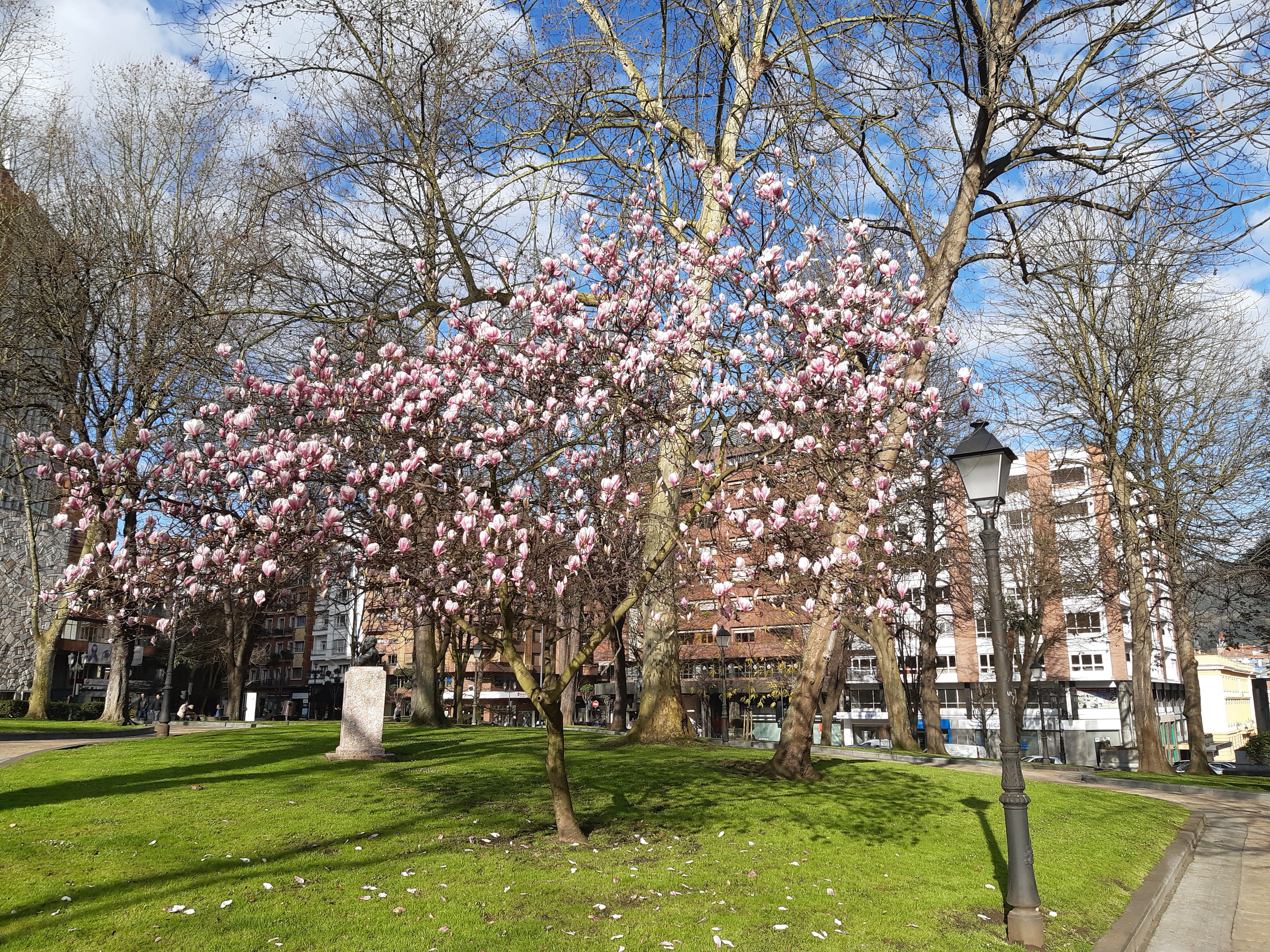 Asturias Viajera 21/03/2025 Asturias Viajera 21/03/2025
